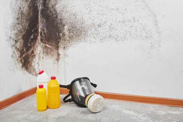 Best Mold Cleaning Services  in Pittsburg, CA