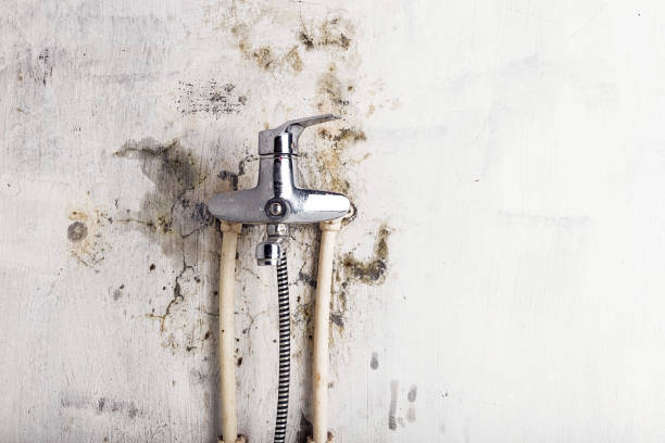 Best Water Damage Restoration  in Pittsburg, CA