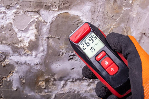 Best Crawl Space Mold Removal  in Pittsburg, CA