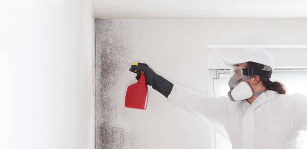 Best Mold Testing  in Pittsburg, CA