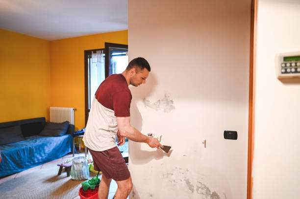 Best Professional Mold Removal  in Pittsburg, CA