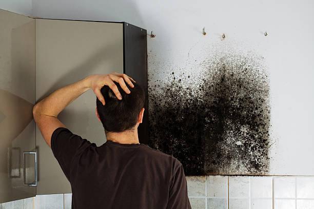 Best Mold Testing  in Pittsburg, CA